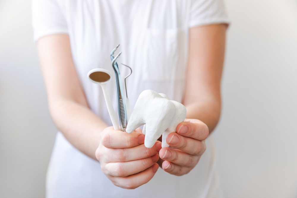 ntist Holding Tools and Tooth Model – General Dentistry A dental professional holding a large tooth model along with dental instruments used for examinations and cleanings – General Dentistry